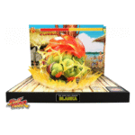 Figurine Street Fighter - Blanka T.N.C-05 + diorama LED
