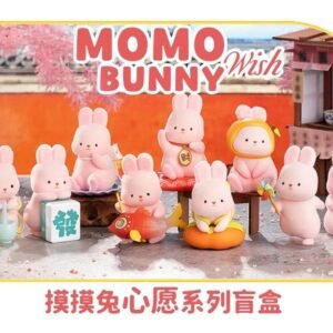 Figurine Momo Bunny - Wish Series Blind Box Set 9 pièces (10cm)